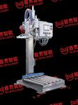 200L Double Head Essential Oil Paint Chemical Liquid Filling Machine Semi