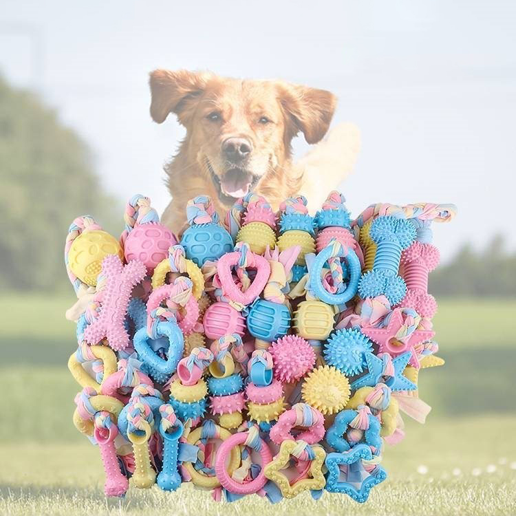 Dog ToySmall Dog Puppies Pet Natural Chew Toys Molar Rod Tpr Rope Toy Catnip