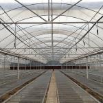 Long Life Span Heavy Duty Plastic Greenhouse High Large Size Available
