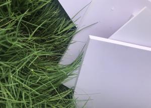 Quality 1.2m * 2.4m * 10mm Heavier PVC Decorative Sheet For Interior Decoration Panels wholesale