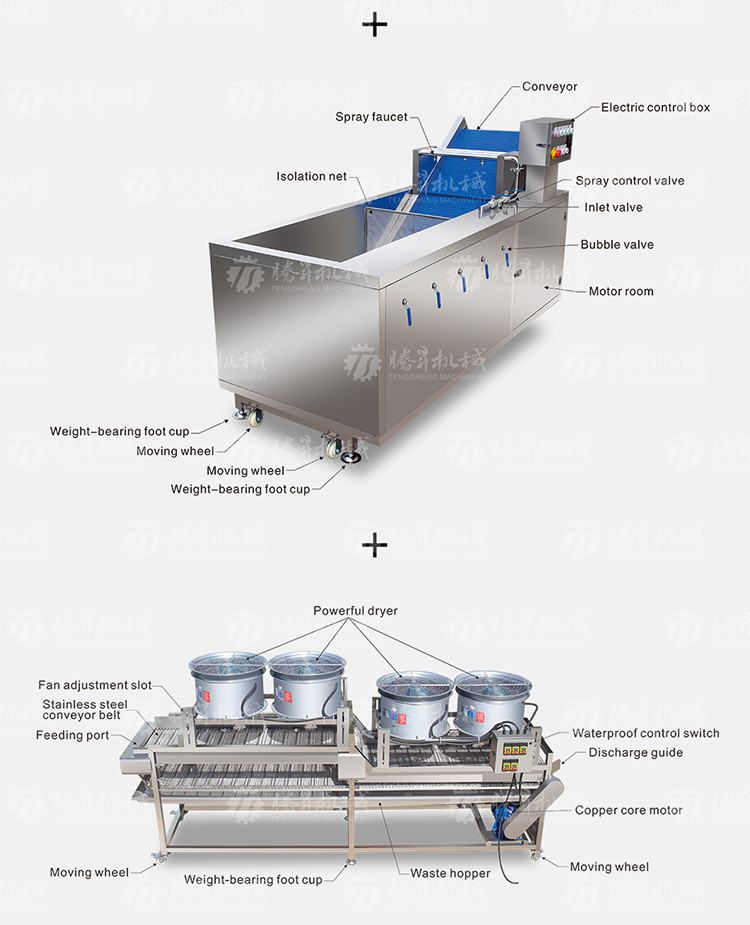 Kiwi Carrot Taro Vegetable Brush Bubble Cleaning Machine 2.5KW