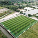 FIFA Certificated Artificial Football Pitches With Disease Resistance