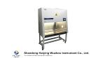 Class II A2 Biosafety Cabinet 10 Degree Physiological Slope