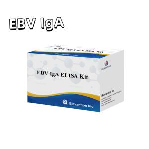 Quality Professional Elisa Test Kit For Diagnostic Kit For IgA Antibody To EBV-Zta wholesale