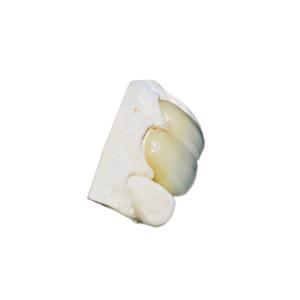 Quality Durable Full Ceramic Zirconia Crown Thin Beautiful Custom Shape wholesale