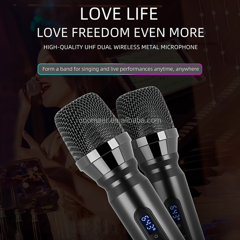 Frequency Response 45Hz-20KHz Portable Wireless Karaoke Speaker for Outdoor Parties