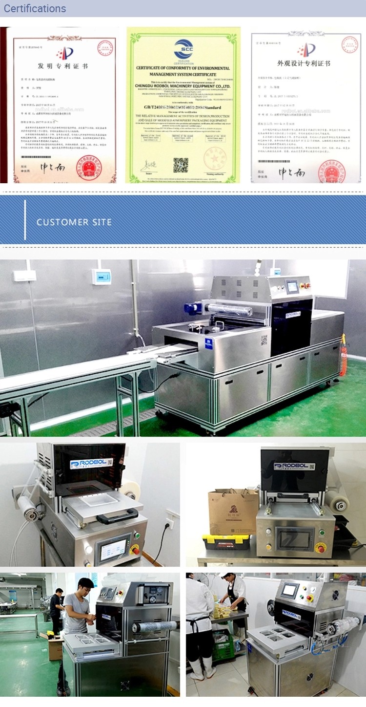 Fruits Vegetables Tabletop Vacuum Sealer Food Packaging Skin Packing Machine
