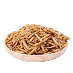 Quality GMP+ FDA Insect Dried Black Soldier Fly Larvae High Protein wholesale