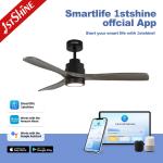 Decorative Fancy Dc Motor Silent Remote Ceiling Fan Led Light CE SAA