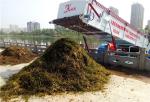 High Efficiency Water Hyacinth Weed Removal Machine