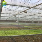 Commercial Plastic Multi Span Agricultural PO Film Greenhouse Accessories