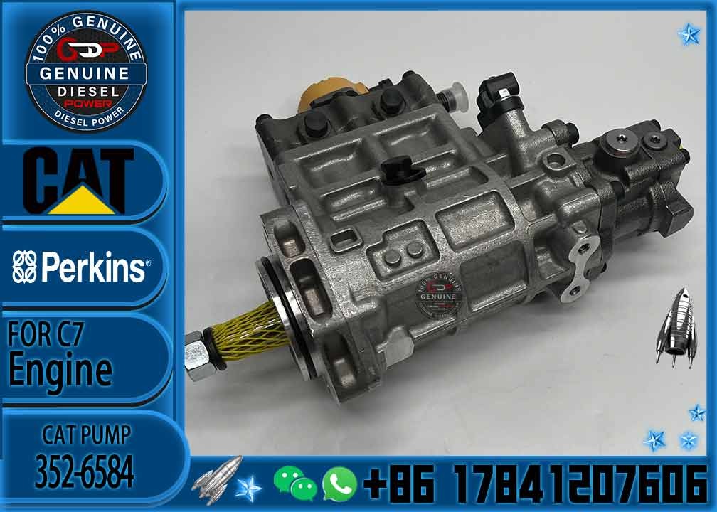 Fuel Injection Pump 326-4634/10R7661 352-6584 291-5919/10R7760 324-0532/2641A405/10R7659C6.4C4.4 for Excavator Loader Ge