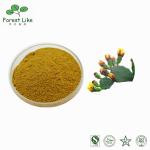Factory Price Natural Cactus Extract for Medicine Free Sample