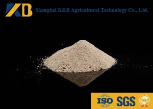 Quality Animal Nutrition Supplements / White Rice Protein Powder High Biological Value wholesale