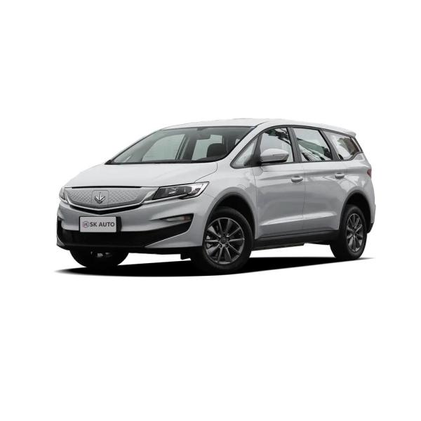 Lifan Maple Leaf 80V Automobile EV Five Door Six Seat Mpv Electric Car Business