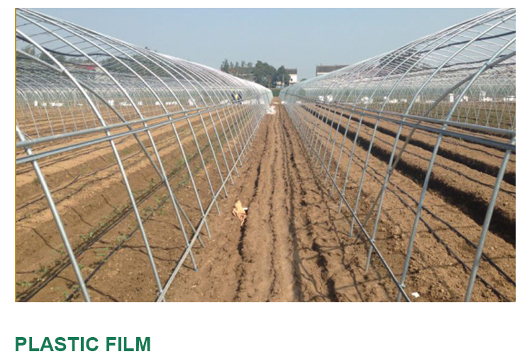 3m High Agricultural Poly Tunnel Greenhouse Transparent Colour Customizable Height