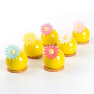 Quality Multi Color Healthy Edible Decorations AZO Free Color Potato Starches Material wholesale