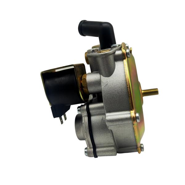 Cnc Lpg Auto Converter Kit 12v Fuel Pressure Regulator Ngv Carburator Regulators