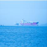 International Sea Freight Forwarding DDP From China To Indonesia