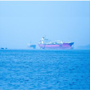 International Sea Freight Forwarding DDP From China To Indonesia