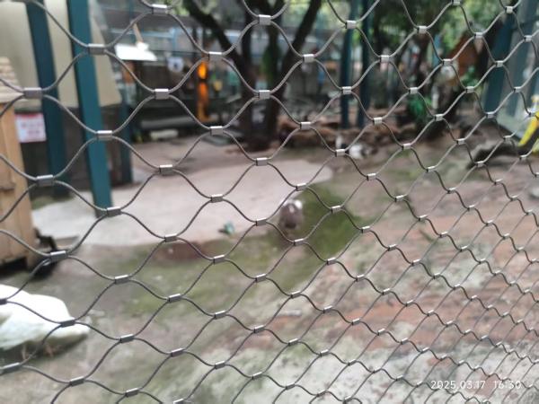 Twill Weave 2mm Aviary Wire Netting Stainless Steel Wire Rope Bird Netting Fence