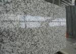 Big Flower Large Prefinished Granite Countertops With High End Appearance