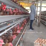 Galvanized Poultry Farm Layer Cage Battery Cage Price In Nigeria Lagos Warehouse