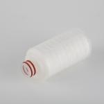 5 inch Pes Membrane Filters for Wine Filtration 0.2 Micron PP Pleated Filter