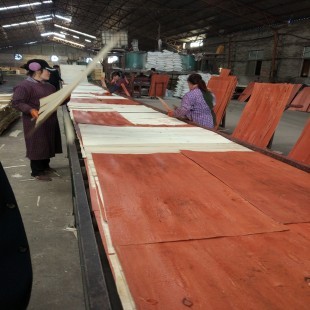Russia anti-slip film faced plywood, Unsmooth film faced plywood, Truck floor plywood