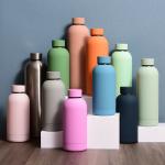 Travel Stainless Steel Double Wall Insulated Vacuum Bottle With Cap Water