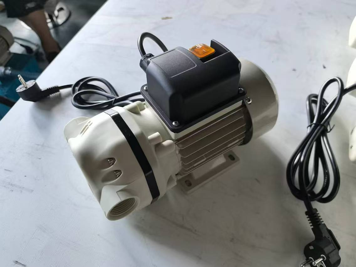 Bernet Cheap Price High Power Anti-corrosion Plastic Adblue Electric Pump for DEF Dispenser