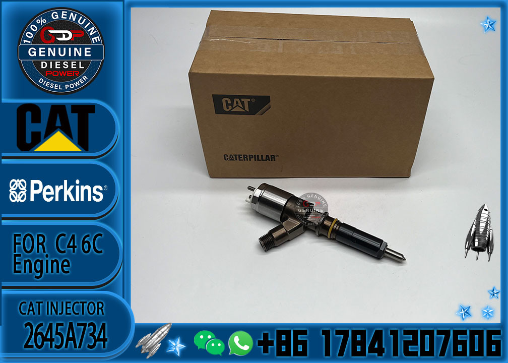 Common Rail Injector 306-9380 Fuel Injector Assembly 320-0680 2645A747 2645A734 For CAT Engine C6.6 C4.4