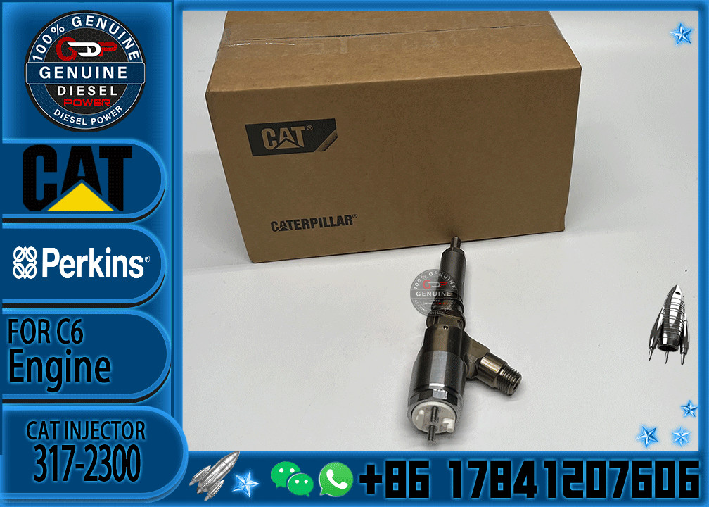 Common Rail C6 Diesel Engine Fuel Injector 317-2300 326-4700 295-9130 10R7675