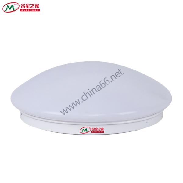 Ceiling emergency light|induction emergency light |led emergency lights|drop