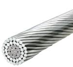 Overhead Transmission Bare BS215 ACSR Moose Conductor