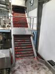 2TPH Tomato Paste Processing Line