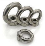 Stainless steel DIN580 Lifting eye bolt DIN582 With Double Washer And Nut SS304