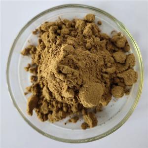 Quality Pharmaceutical grade phyllanthus amarus extract with best price wholesale
