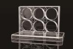 Lab Disposable EDGE 6 Well Cell Culture Plate