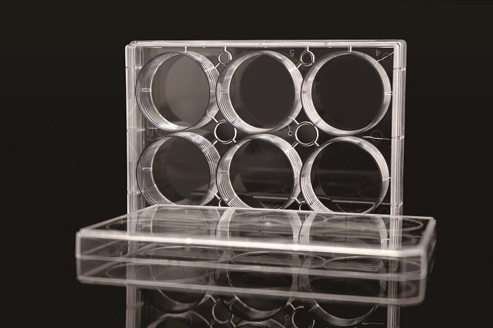 6 Well TC PCR Laboratory EDGE Cell Plates