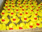 Phthalate Free Cute Baby Rubber Duck Decorated Floating For Baby Shower Water