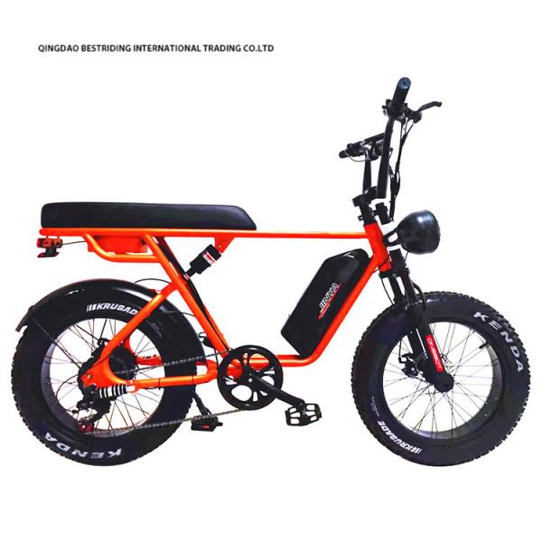 20 Inch Fat Tire Ebike 48V 1000W Electric Mountain Bike For Eco-Friendly