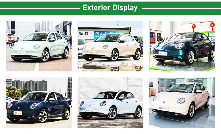 Electric Funky Good Ev Ora Cat Compact Car Unky Cat Luxury Ternary Lithium Battery Ev 2024 Mini Vehicle High Speed Energy Car