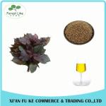 Wholesale Chinese Traditional Herbal Extract Perilla Fretescens Oil Extraction