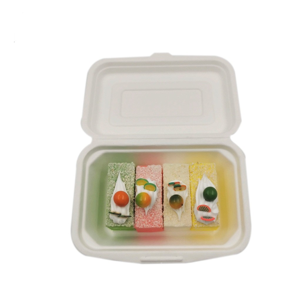 Single Compartment Biodegradable Clamshell Box Disposable 8in 9 Inch