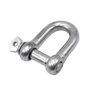 Quality European Type Stainless Steel 304/316 Screw Pin D Shackle for Heavy Duty Applications wholesale