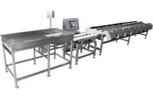 Quality 200 Pcs/Min Weight Grader Machine wholesale
