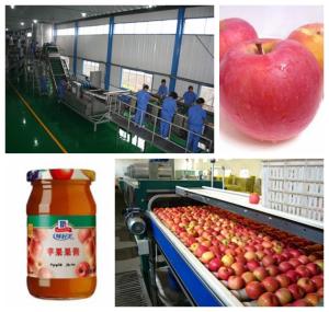 Quality Small Capacity Apple Juice Processing Plant SS304 Material Beverage Processing Line wholesale