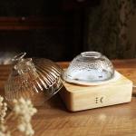 Aroma Diffuser With Glass Oil Reservoir ▕ DN-839