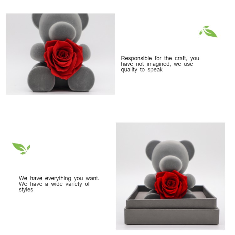 Sweetheart Eternal Rose Bear Never Wilting Flowers Representing Long Lasting Love